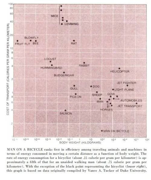 Scientific American's 1973 chart of the energy cost of locomotion by body weight, with 'Man on Bicycle' plotted as the most efficient traveler of all.